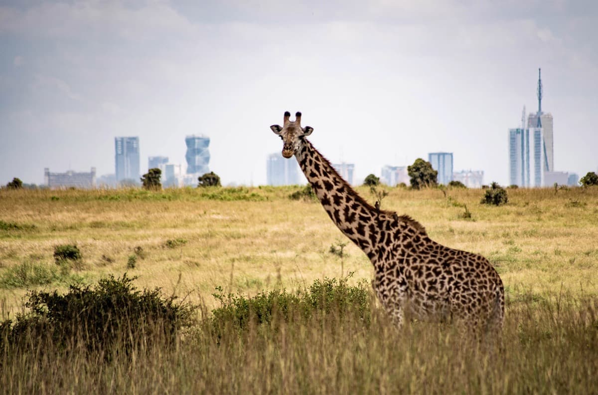 Nairobi